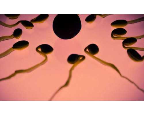 無(wú)錫找供卵女,運(yùn)城試管助孕生兒子費(fèi)用大概多少